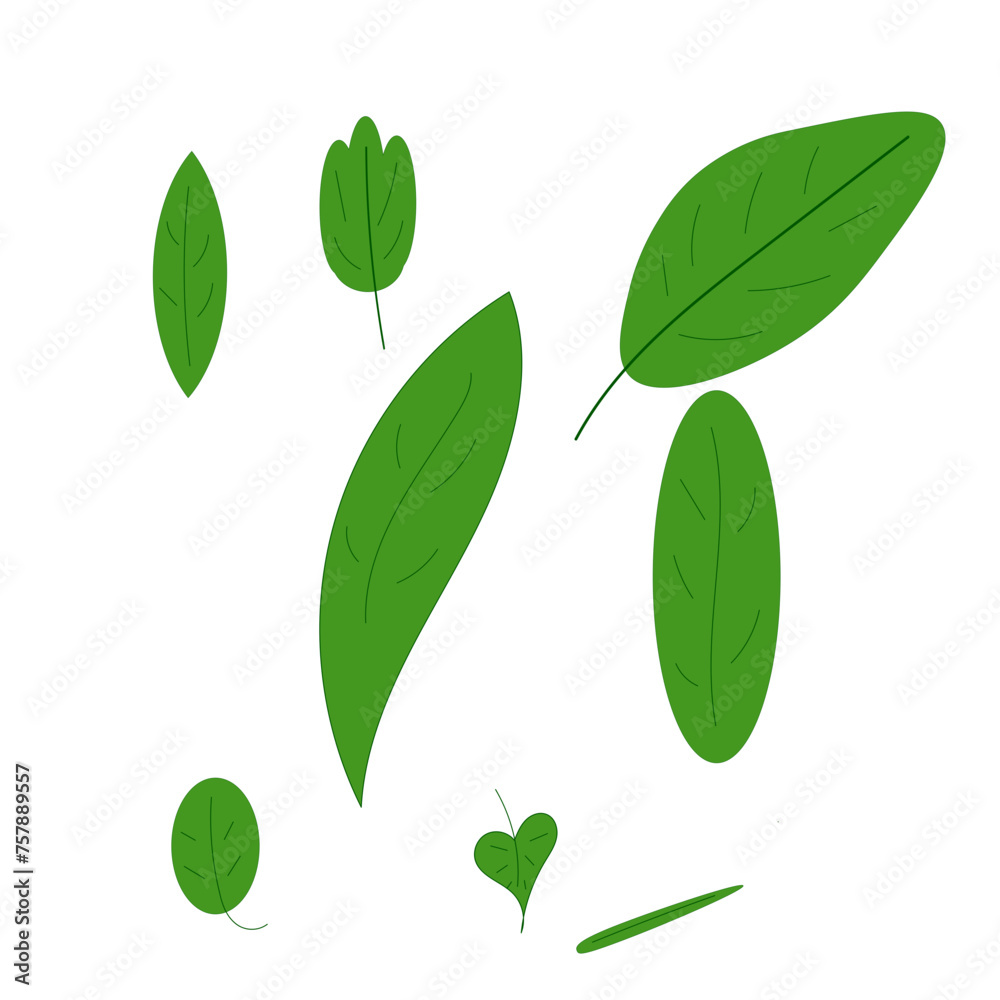 A set of many leaves on a white background A set of many leaves on a white background