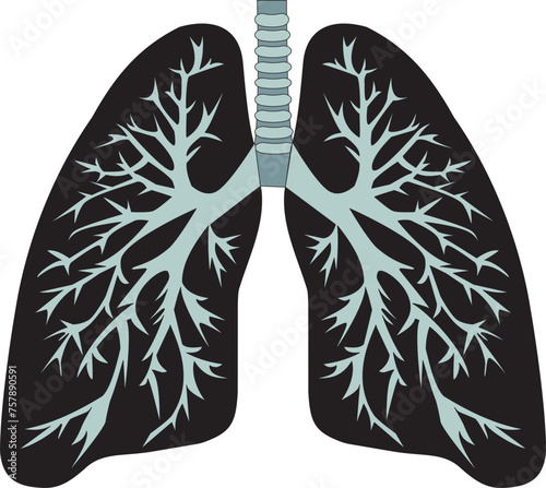 Lungs vector. Human internal organs design, medical anatomy element, healthcare illustration.