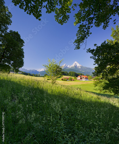 Bauernhof, Felder, Watzmann, Aschauerweiherstraße, Berchtesgadener Land, Bayern, Deutschland photo