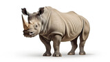 Rhino Isolated on white background