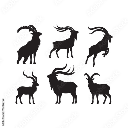Markhor Silhouette Vector: Stunning Mountain Wildlife Graphics for Nature Lovers, and Graphic Design Projects, Markhor Vector, Markhor Illustration.