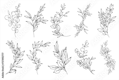 Floral vector set of greenery arrangements and bouquets, hand drawn wedding branches, herbs, minimalist botanical line art illustration, elegant compositions for invitation and save the date card photo