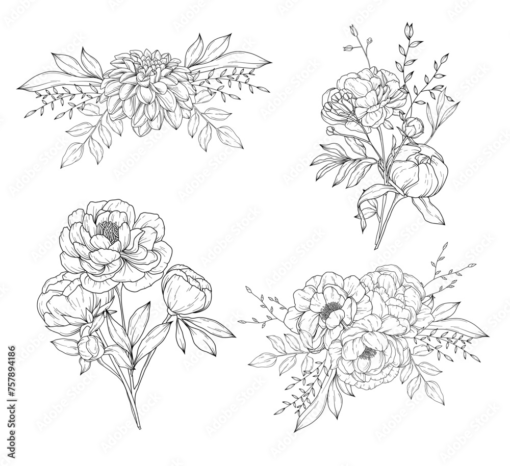 Collection of peony flowers bouquets and flower compositions, hand drawn botanical  line art drawing, vector floral illustration