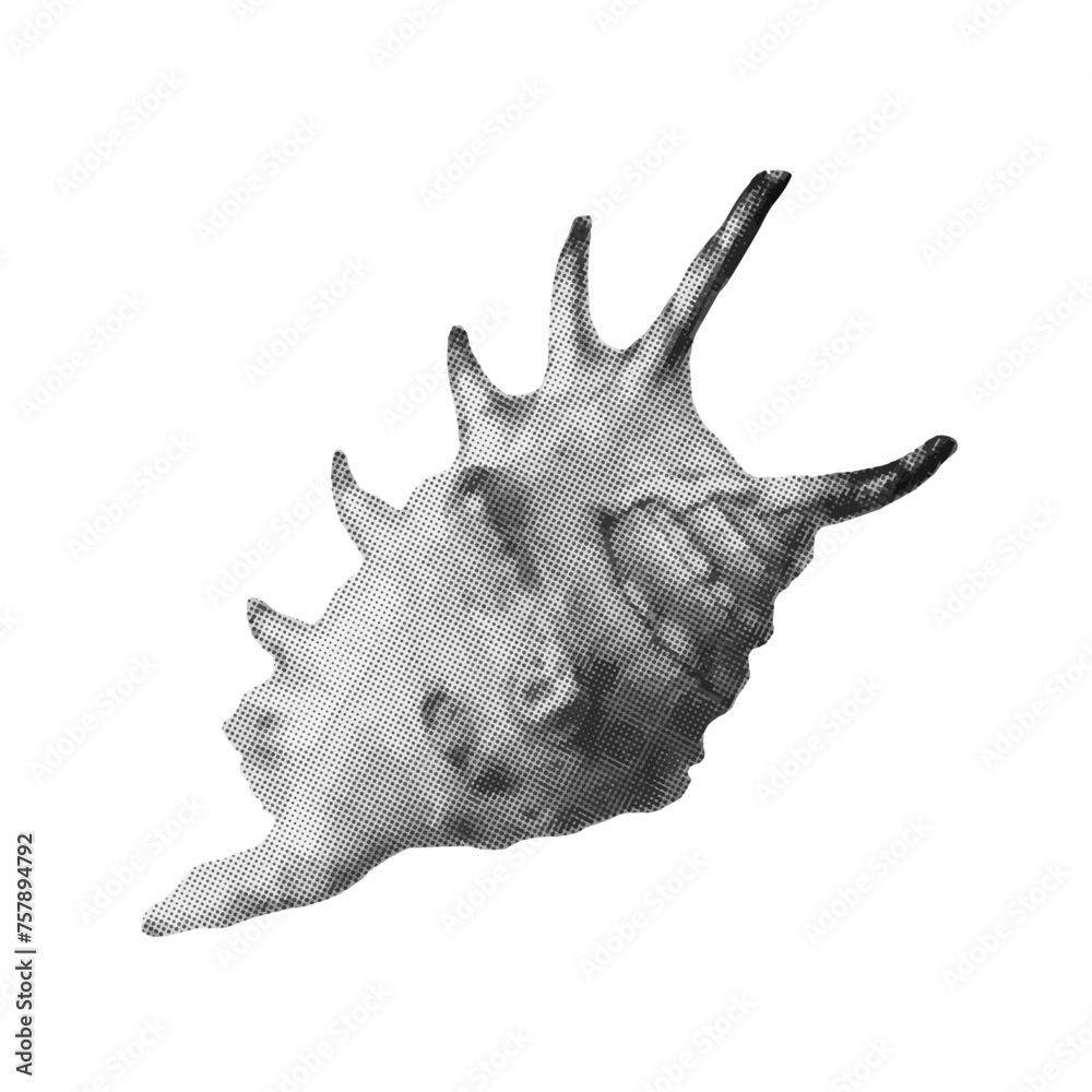 Shell in halftone isolated on white background. Vector illustration for poster, banner, card. Y2K style Shell in halftone isolated on white background. Vector illustration for poster, banner, card. Y2K style