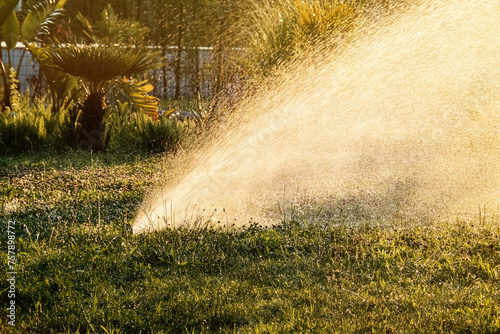 Lawn grass watering Irrigation system. Splashes water spray drops in golden rays of setting sun © bermuda cat