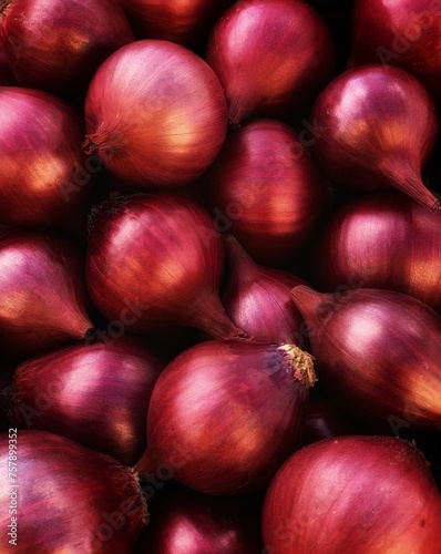 harvest organic onion . concept of organic vegetables