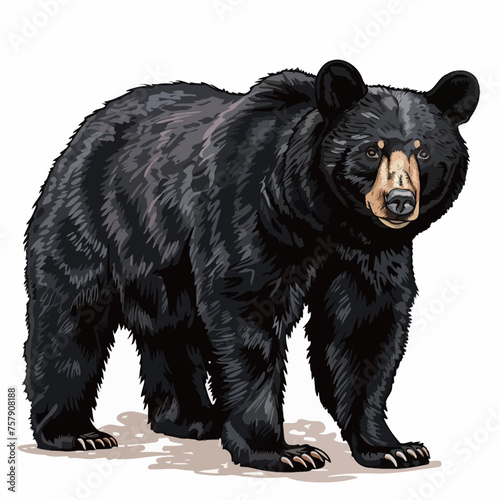 black bear vector | price 1 credit usd $1