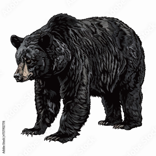 black and white illustration of a black bear