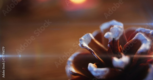 Image of glowing light over flower in pot