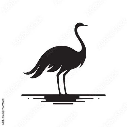 Rhea Vector Silhouette: A Majestic Silhouette Encompassing the Grace of South American Wilderness in Vector Form, Rhea Black Illustration.