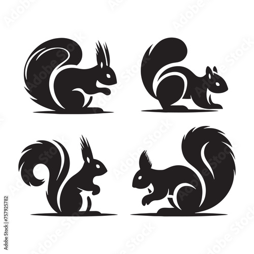 Fototapeta Naklejka Na Ścianę i Meble -  Squirrel Vector Silhouette: A Dynamic Silhouette Capturing the Agile Essence of the Squirrel in Vector Form. Squirrel black illustration.