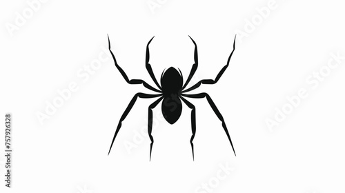 Spider Silhouette icon. flat vector 