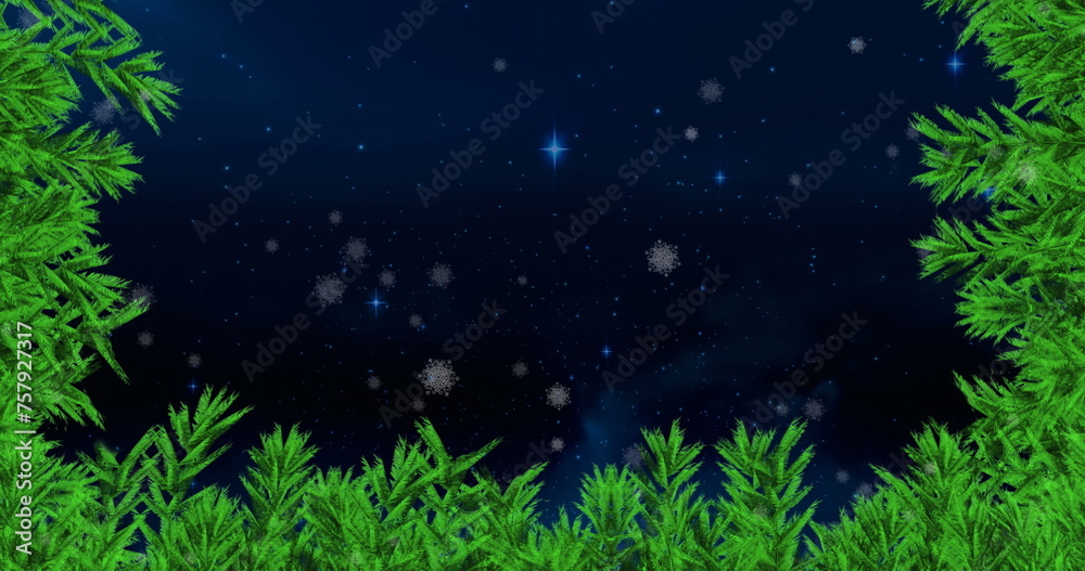 Obraz premium Image of snow falling with fir tree frame and copy space over stars and night sky
