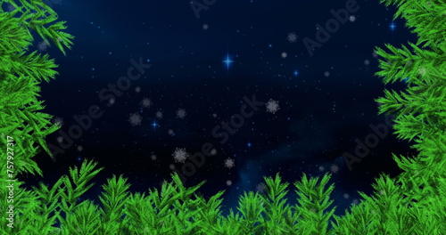 Image of snow falling with fir tree frame and copy space over stars and night sky