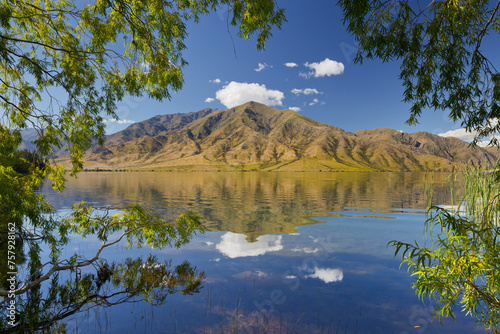 Weiden am Ufer, Lake Benmore, Otago, Südinsel, Neuseeland photo