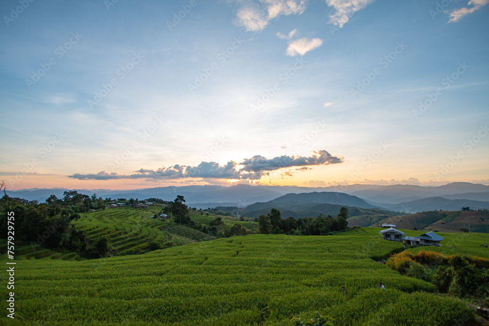 Obraz premium Terraced rice fields, good atmosphere