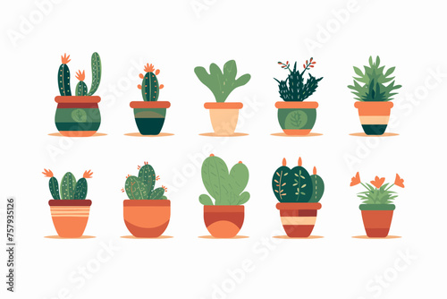 Cactus and succulent plants in pots. Illustration set of hand drawn cacti and succulents growing in cute little pots. Simple cartoon vector style.