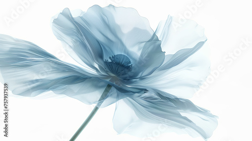 Transparent aery blue flower on white background. Aesthetic concept. Delicate watercolour. Generative AI