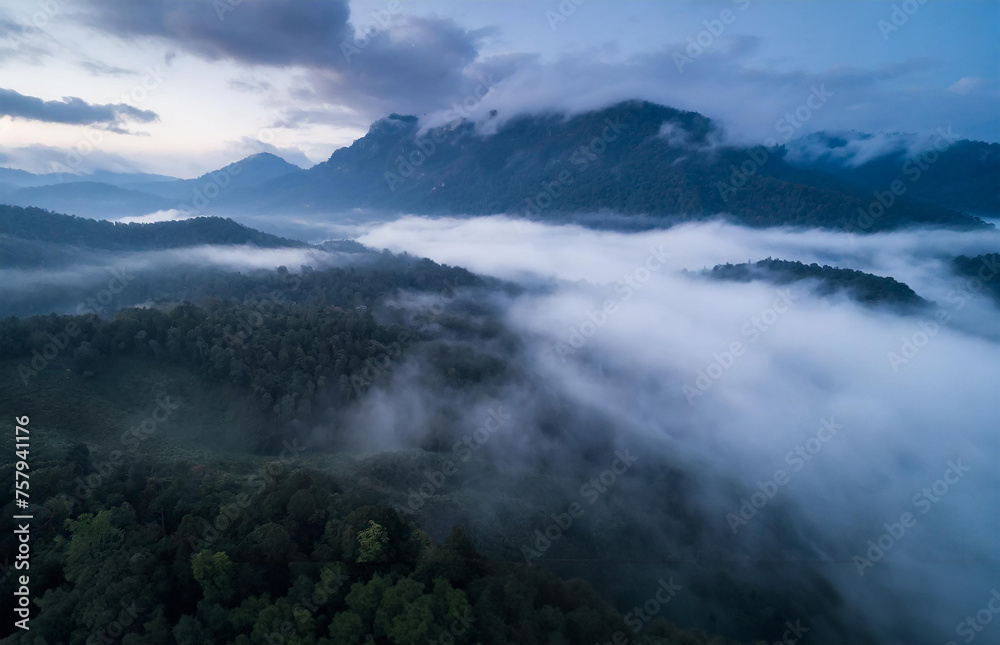 Aerial view of foggy forest and mountain in the morning.