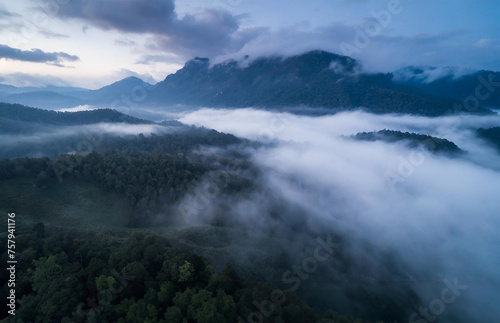 Aerial view of foggy forest and mountain in the morning.