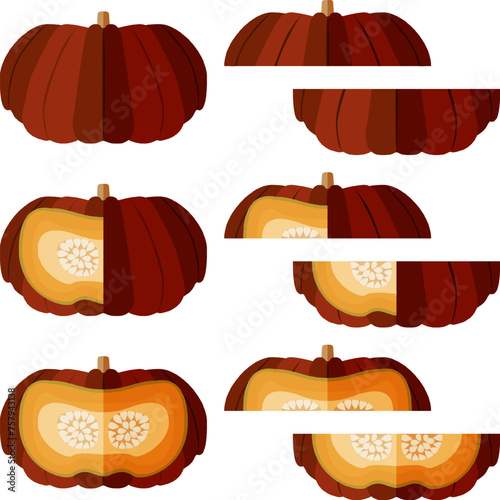 Set of Cinderella pumpkin. Rouge Vif D Etampes. Winter squash. Cucurbita maxima. Fruits and vegetables. Flat style. Isolated vector illustration. photo