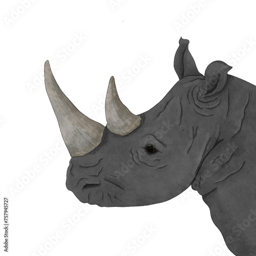 gray rhino with big horns