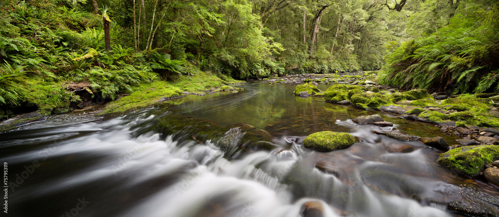 Catlins River, Southland, Südinsel, Neuseeland Catlins River, Southland, Südinsel, Neuseeland