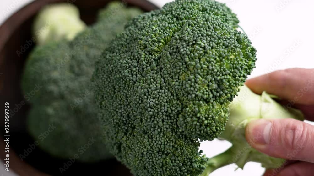 Fresh broccoli in cook hand. Cooking raw green vegetable ingredients. Organic healthy food