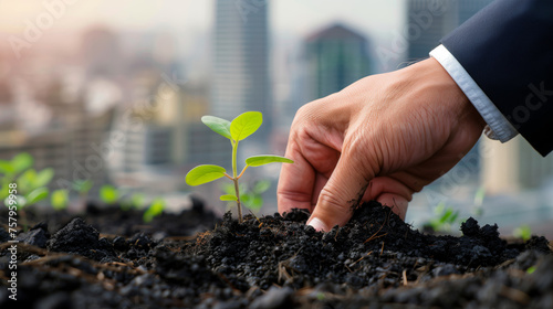 The hand of a businessman in a business suit plants small green shoots against the backdrop of the city's skyscrapers, the concept of growth in business and finance