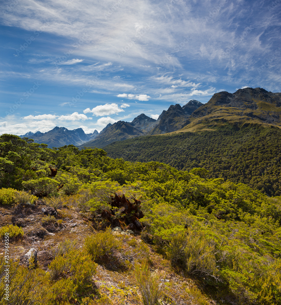 Fototapeta premium Key Summit, Fiordland Nationalpark, Southland, Südinsel, Neuseeland