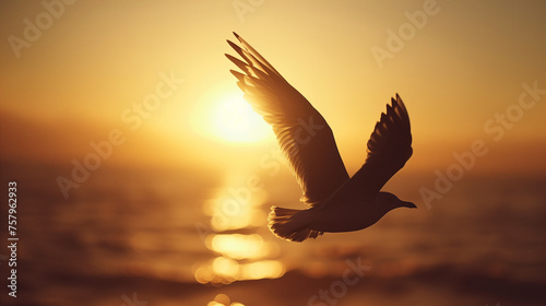 seagull in the sunset over sea (5) © Suphawida