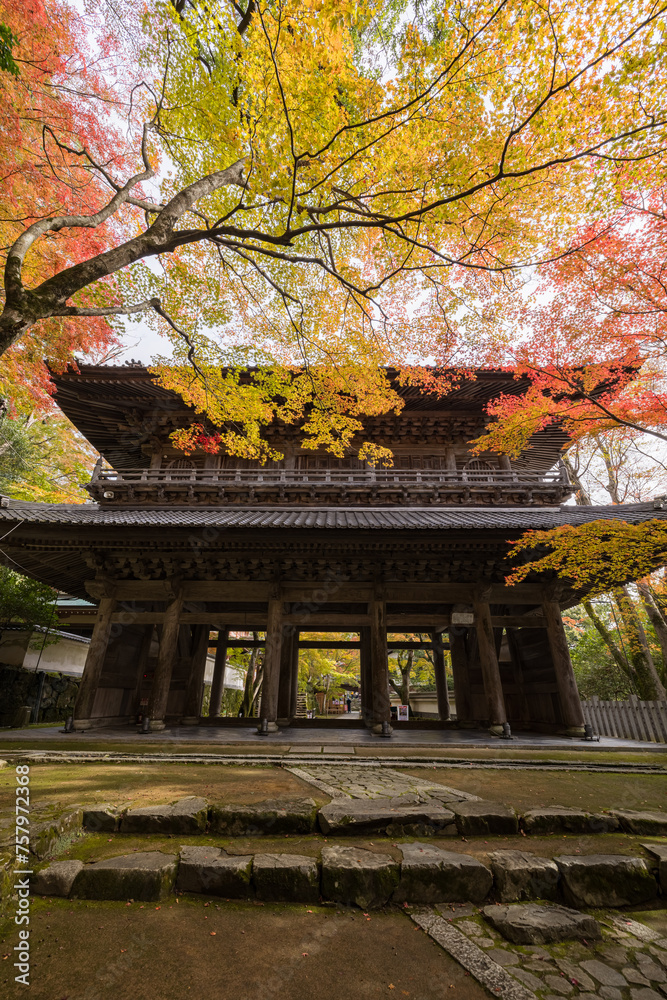 日本　滋賀県東近江市にある永源寺の山門と紅葉