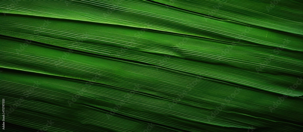 Vibrant Green Leaf Texture Background with Fresh Botanical Patterns for Natural Design Elements Vibrant Green Leaf Texture Background with Fresh Botanical Patterns for Natural Design Elements