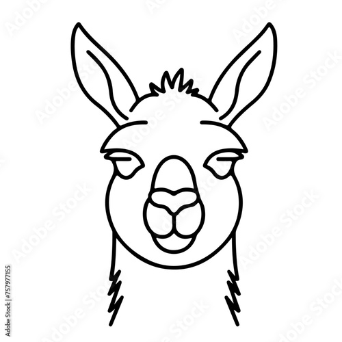 Wildlife wild animal symbol icon for logo - Black fine line art silhouette of alpaca head portrait, isolated on white background