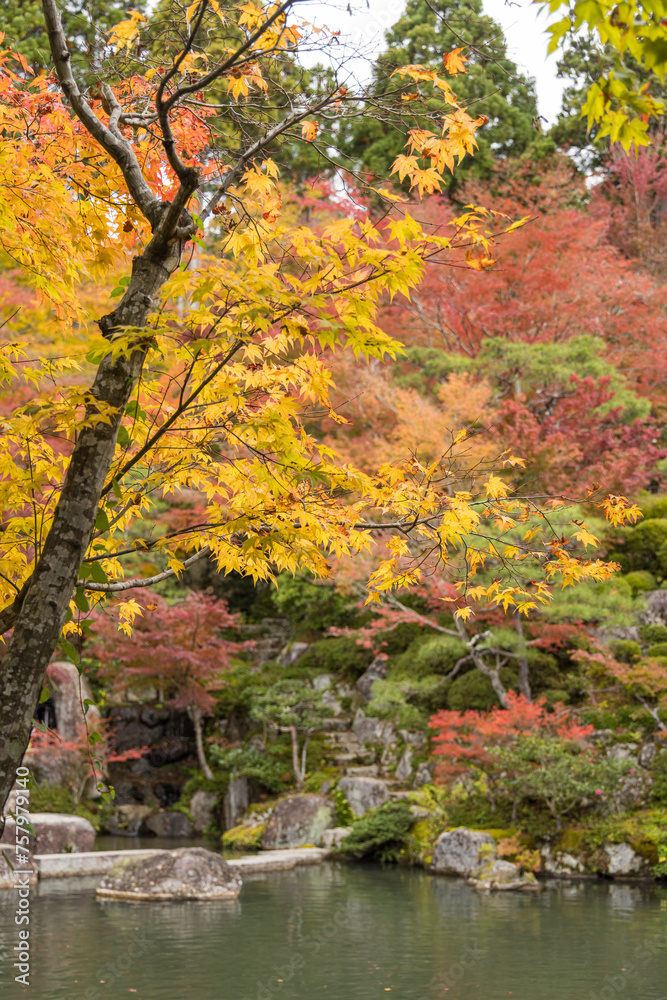 日本　滋賀県東近江市にある湖東三山の一つ、百済寺の本坊喜見院から見える本坊庭園と紅葉