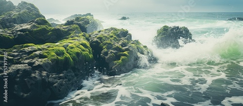 Powerful Ocean Wave Crashing Dramatically on Rugged Coastal Rocks