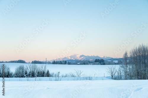 冬の北海道美瑛町の風景 © Kazu8