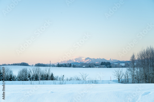 冬の北海道美瑛町の風景 © Kazu8