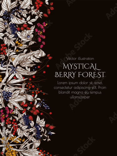 Vector frame of forest berries. Cornus sanguinea, sea buckthorn, rose hips, ligustrum, hawthorn, elderberry, paris quadrifolia, lily of the valley berries, euonymus