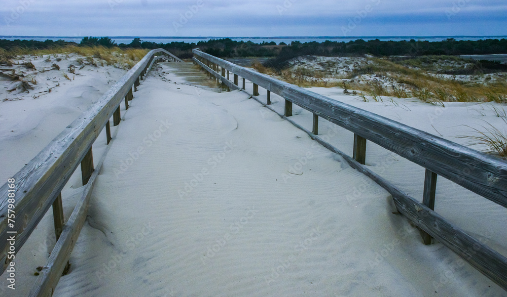 Miles of sand dunes and white sandy beaches offer habitat to maritime plants