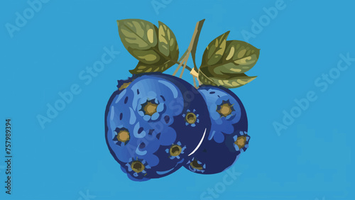 vector Blueberry illustration flat design 