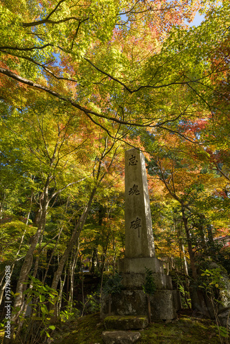 日本　滋賀県愛知郡愛荘町にある湖東三山の一つ、金剛輪寺の忠魂碑と紅葉