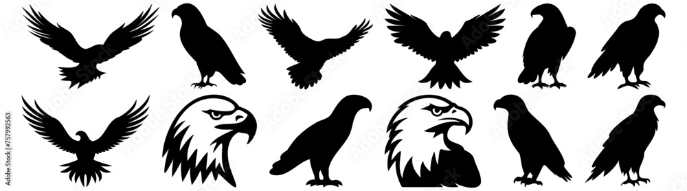 Fototapeta premium Eagle silhouette set vector design big pack of illustration and icon