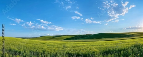 Green field under vast blue sky, symbolizing peace, natural beauty. © vadymstock