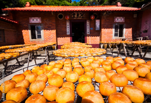View of Traditional Making Dried Persimmons during Windy Autumn in Hsinpu of Hsinchu, Taiwan. 