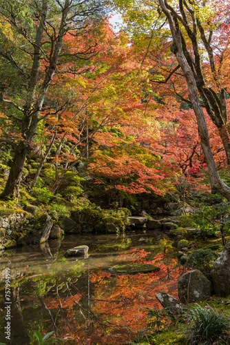 日本　滋賀県愛知郡愛荘町にある湖東三山の一つ、金剛輪寺の明寿院庭園の紅葉
