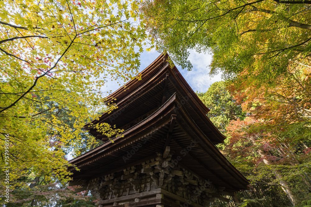 日本　滋賀県愛知郡愛荘町にある湖東三山の一つ、金剛輪寺の三重塔と紅葉