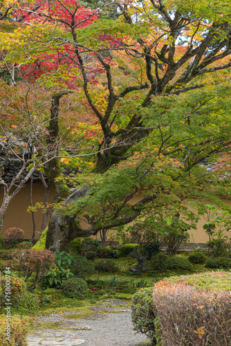 日本 滋賀県犬上郡甲良町にある西明寺の本坊庭園、蓬莱庭と紅葉