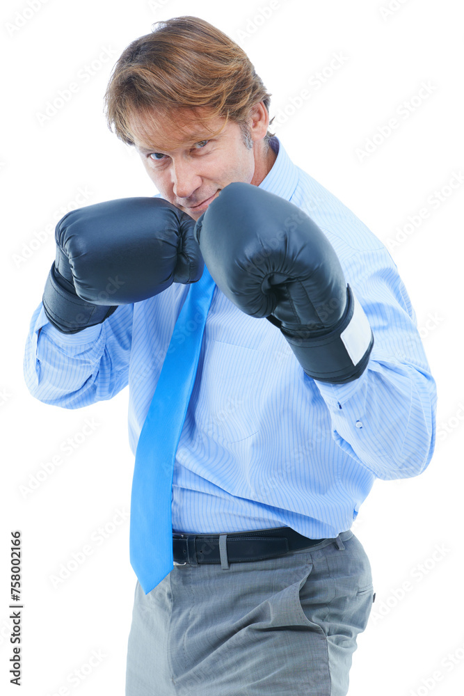 Businessman, portrait and boxing gloves in studio for competition, corporate opportunity and victory at work. Male person, face and confidence to fight for promotion on white background with smile Businessman, portrait and boxing gloves in studio for competition, corporate opportunity and victory at work. Male person, face and confidence to fight for promotion on white background with smile