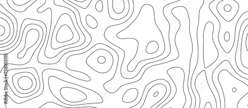 abstract white wave paper curved reliefs background. Topography map pattern, Geographic curved, vector illustration. seamless textrue, vintage waves. Panorama view multicolor wave curve line.